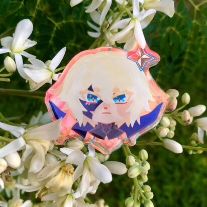 Acrylic Pin